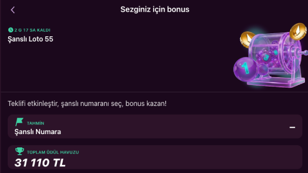 Lüks Gazino Lucky Lotto 55 promotion screen